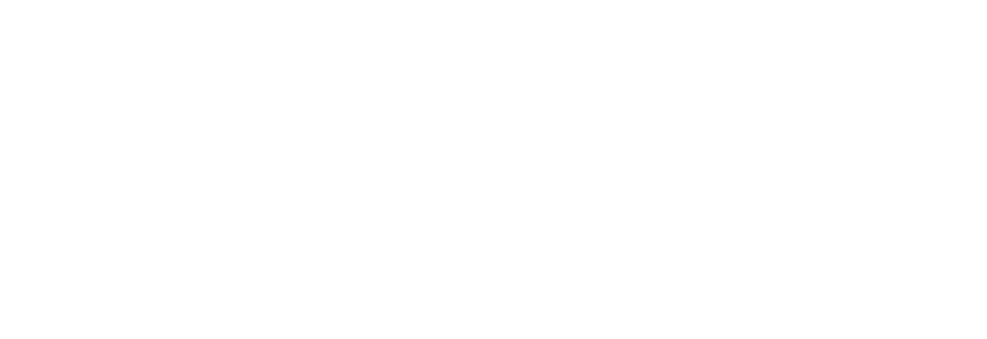 Logo_+White